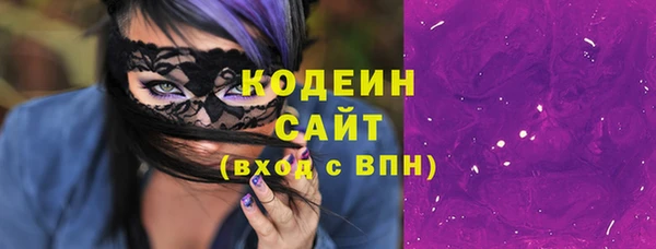 бошки Снежногорск