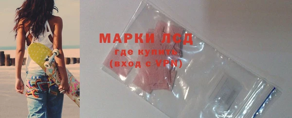 индика Семилуки