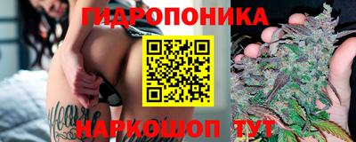 Альфа ПВП Жуковский