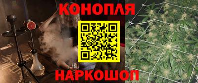 Альфа ПВП Жуковский