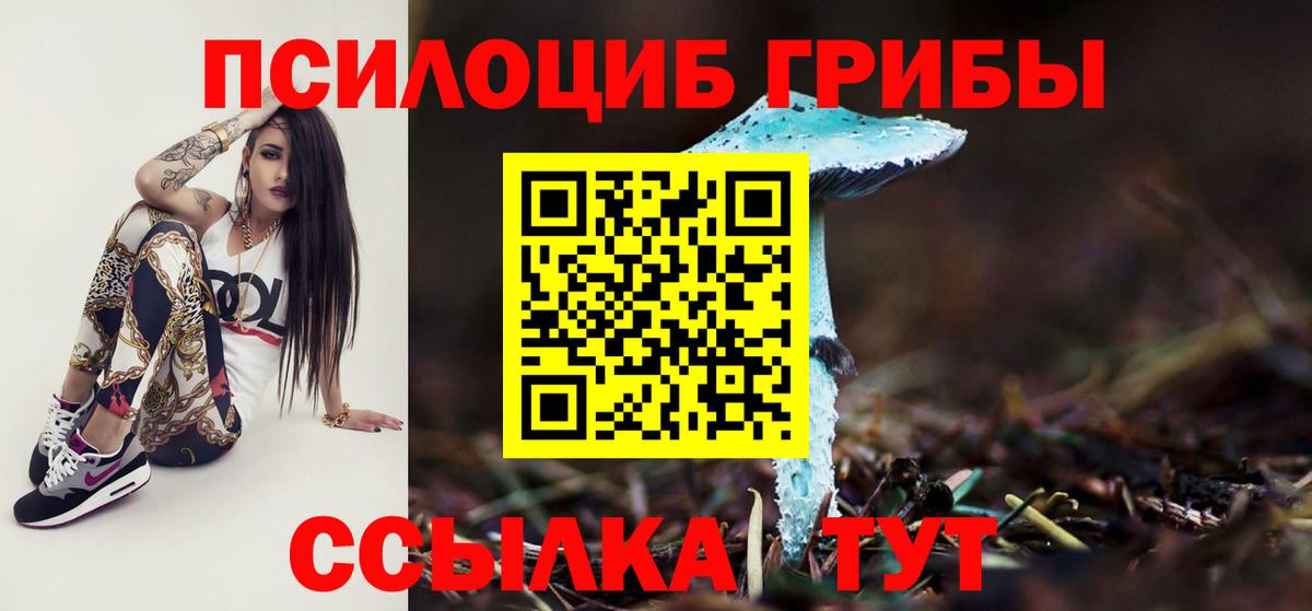 Мценск  Псилоцибиновые грибы мухоморы  Вход с VPN 