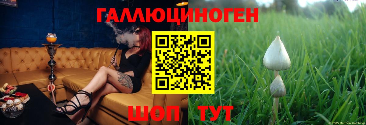 Галлюциногенные грибы ЛСД Мценск